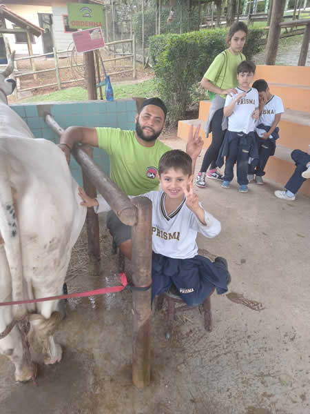 Bicho Mania 2022